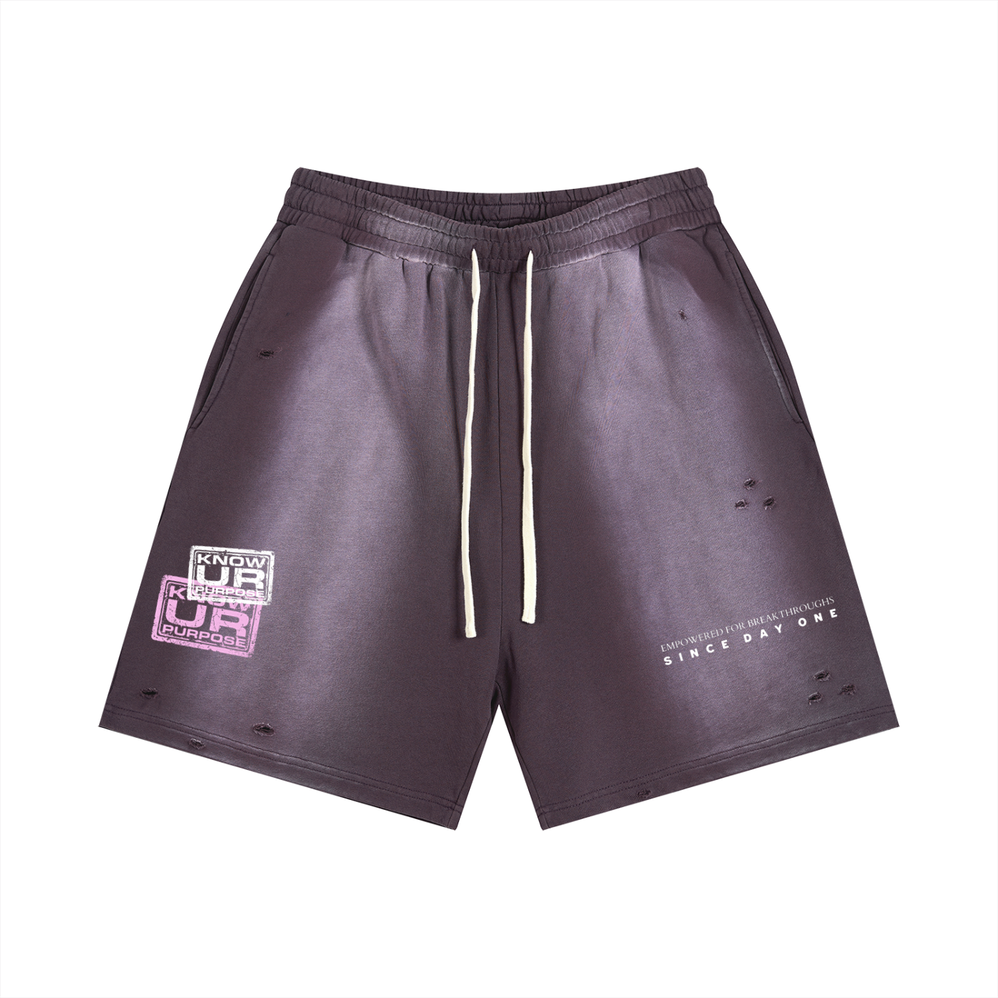 Sun Fade Distressed Shorts