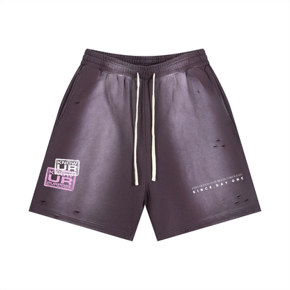Sun Fade Distressed Shorts