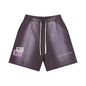 Sun Fade Distressed Shorts