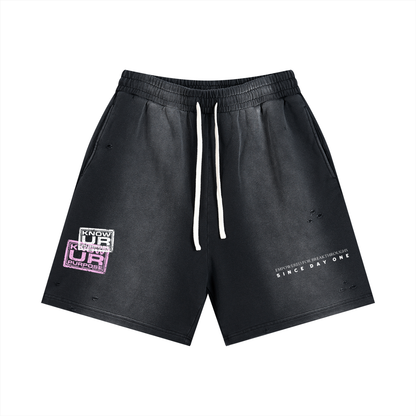 Sun Fade Distressed Shorts
