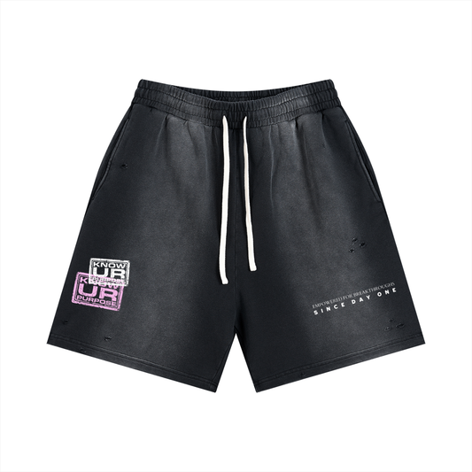 Sun Fade Distressed Shorts