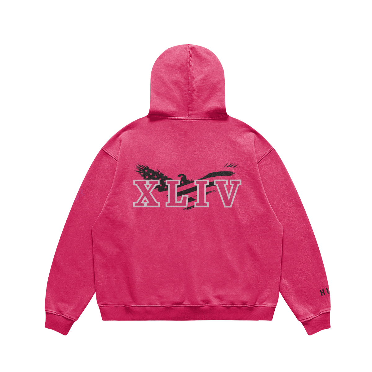 Blezzed 4 Sure/Faded Hoodie/Mayor Rosa